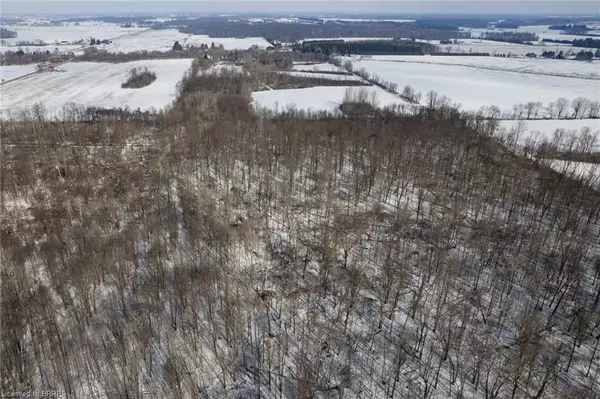 Harley, ON N0E 1E0,251 Harley Road