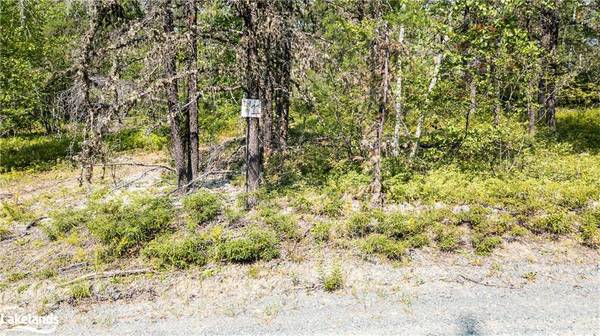 0 Munro Lake Road #Lot 12, Black River-matheson, NL A0A 0A0