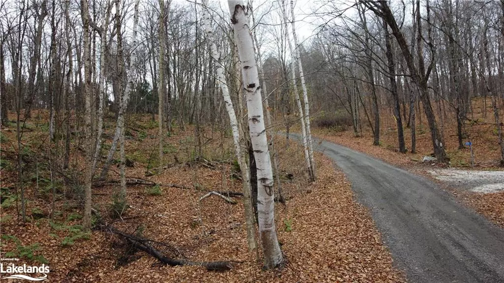 Haliburton, ON K0M 1S0,0 Basshaunt Lake Road