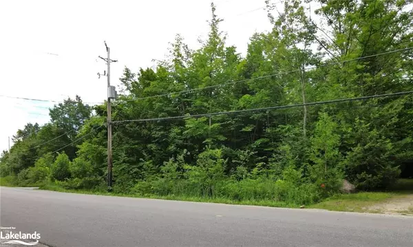 Tiny, ON L9M 0C1,LOT 3 Champlain Road