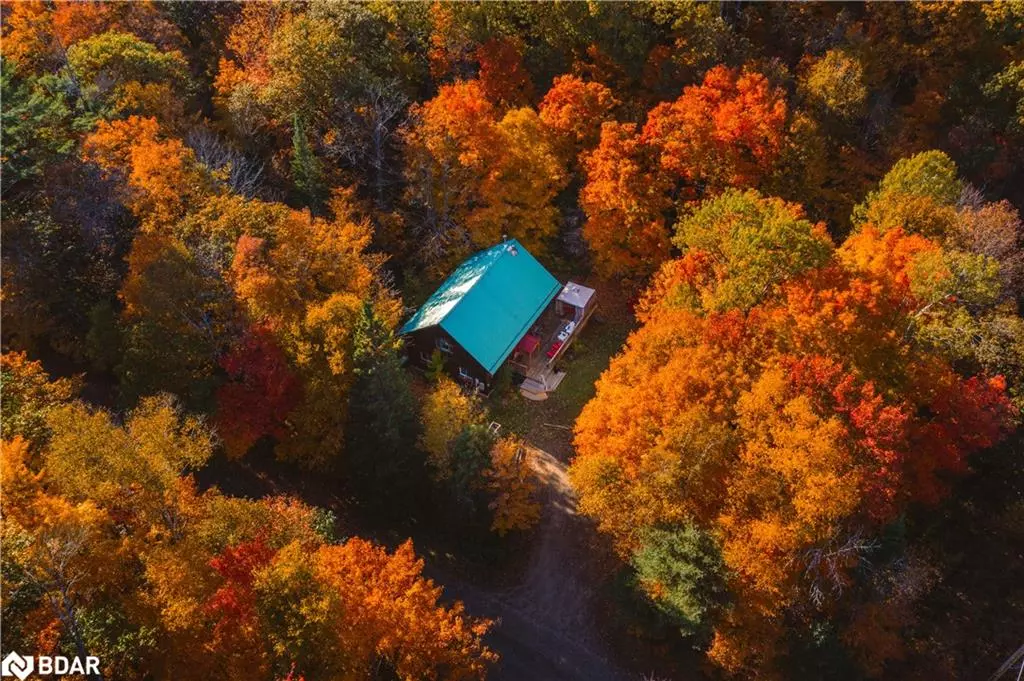 Algonquin Highlands, ON K0M 2K0,1046 Pine Springs Road