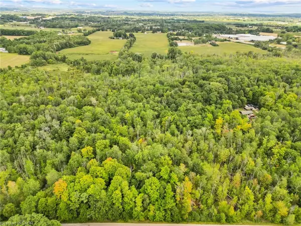 Hamilton, ON L8N 2Z7,783 Highway 6 N