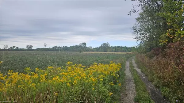 Cayuga, ON N0A 1E0,PT S1/2 LT 7 Junction Road