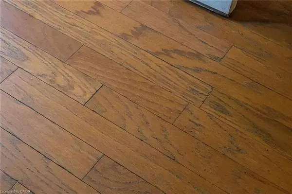 Hamilton, ON L8H 1K1,23 Frederick Avenue