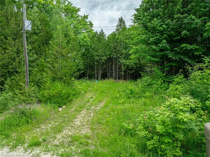 LOT 31 8th Concession B, Grey Highlands, ON N0C 1M0