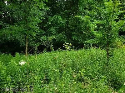 Altoona, PA 16601,Lot 33 Granada Way, Altoona, PA 16601