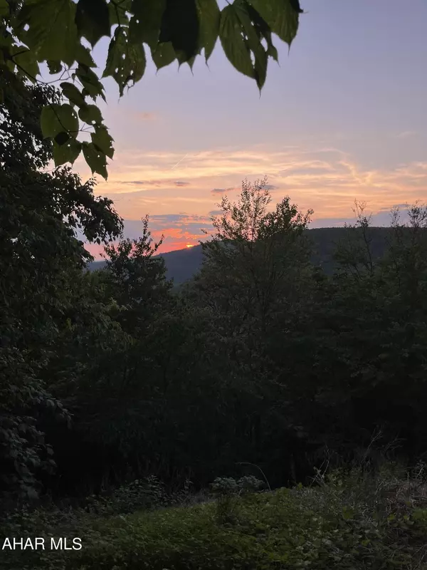 Claysburg, PA 16625,00 Ridge Run Road Road, Lot #226, Claysburg, PA 16625