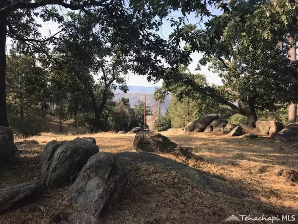 29101 Woodview Court, Tehachapi, CA 93561