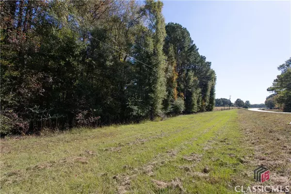 Bishop, GA 30621,Lot C Salem RD