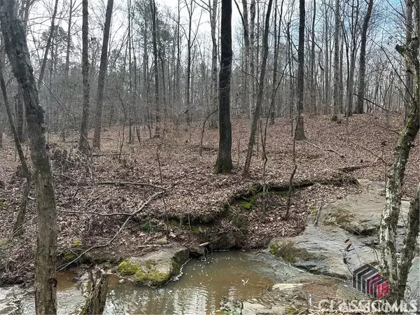 Watkinsville, GA 30677,Lot 4 Tall Oaks RD