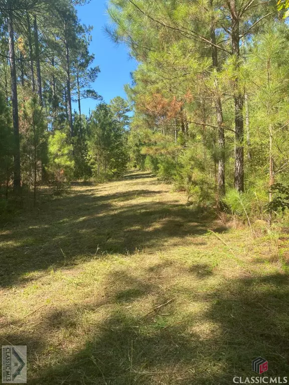 Elberton, GA 30635,0 Lot 14 Welcome Church RD #Lot 14