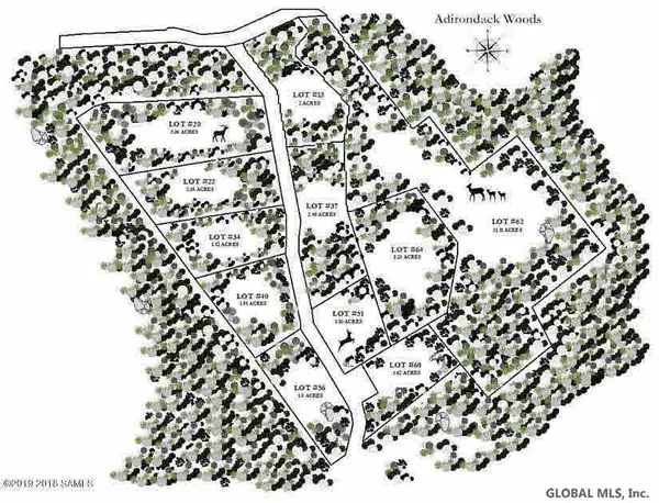 Chester, NY 12817,13 CARRIAGE Road