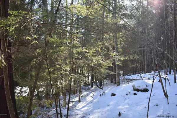 Chester, NY 12817,20 CARRIAGE Road