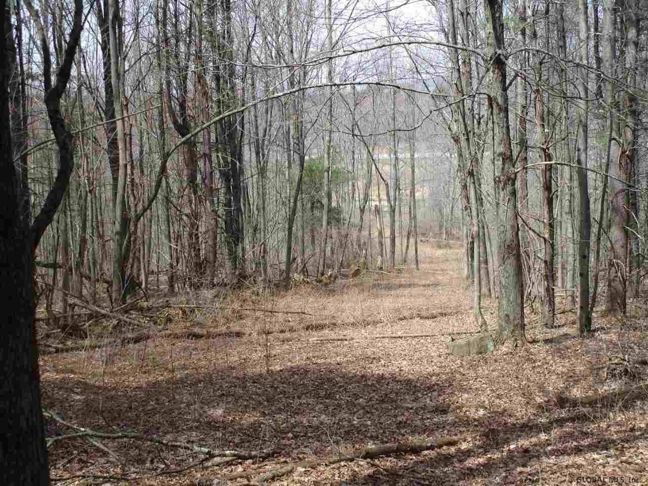 Duanesburg, NY 12053,DUANESBURG Road