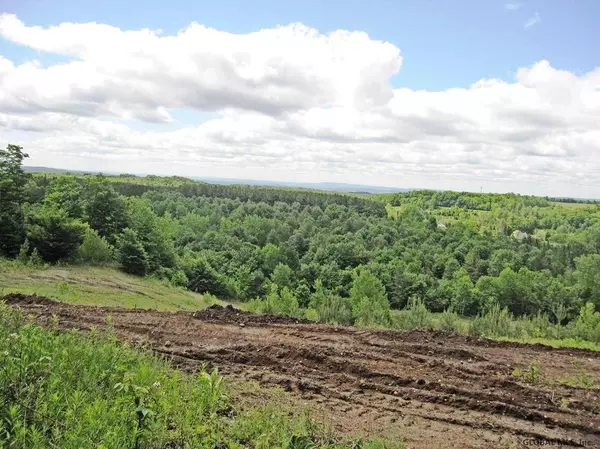 0 RT  29 #Lot 5 Goldmine, Salisbury, NY 13454