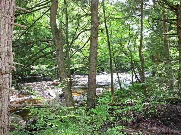 0 RT 29 #Lot 7 Goldmine, Salisbury, NY 13454