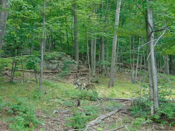 Gilboa, NY 12076,0 MACE Road