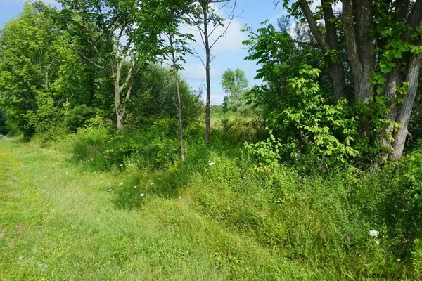 HIGHWAY ROUTE 20, Carlisle, NY 12160