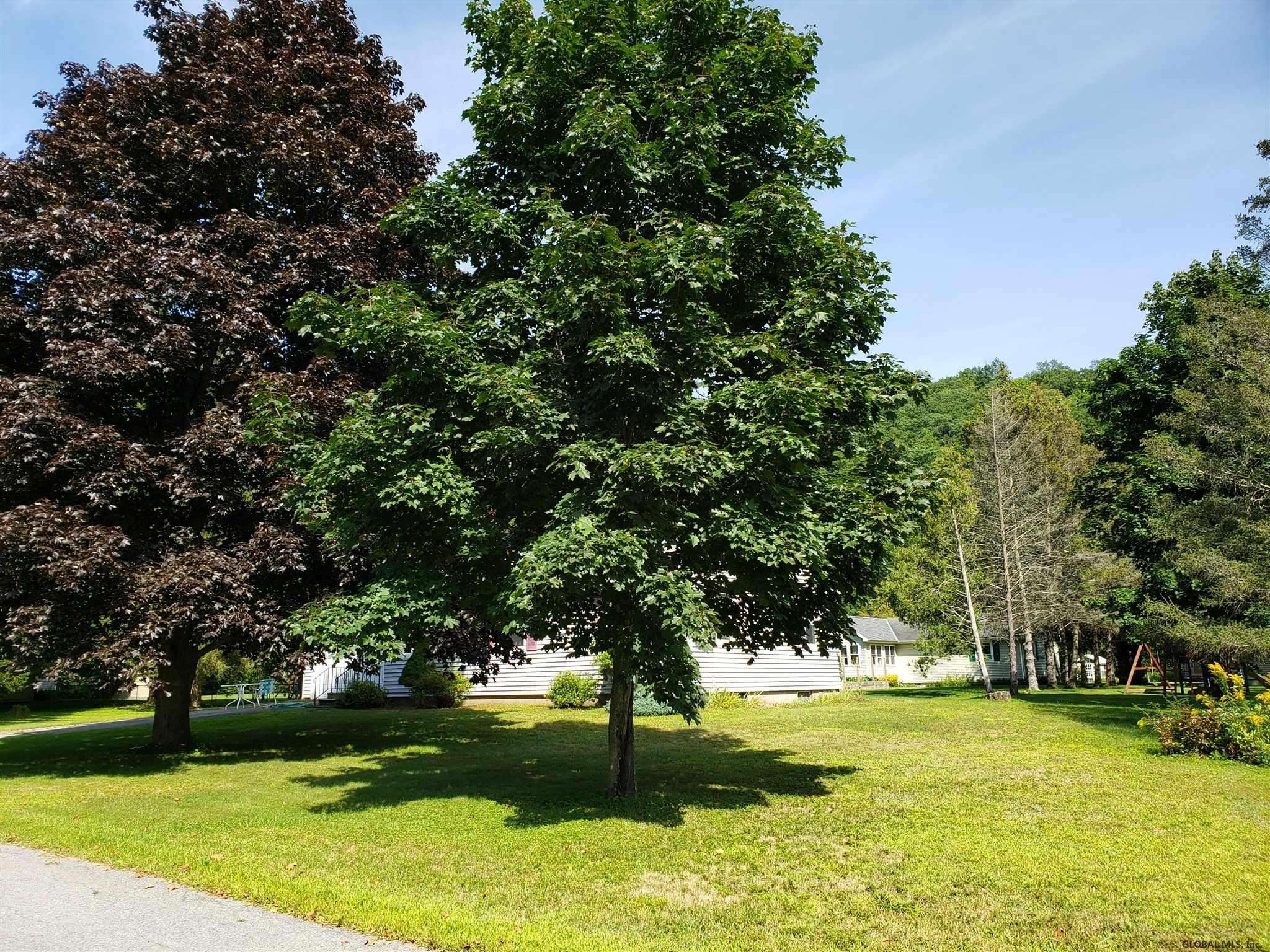 White Creek, NY 12816,20 MOUNTAIN VIEW Drive