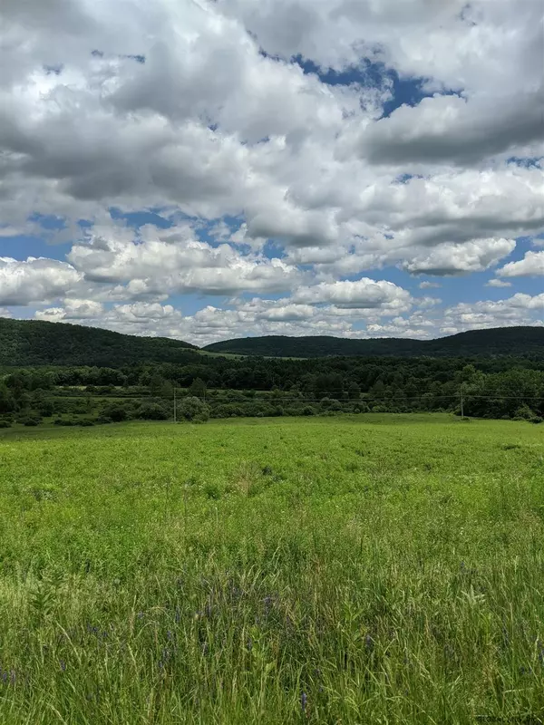 00 ROUTE 8, Brookfield, NY 13491