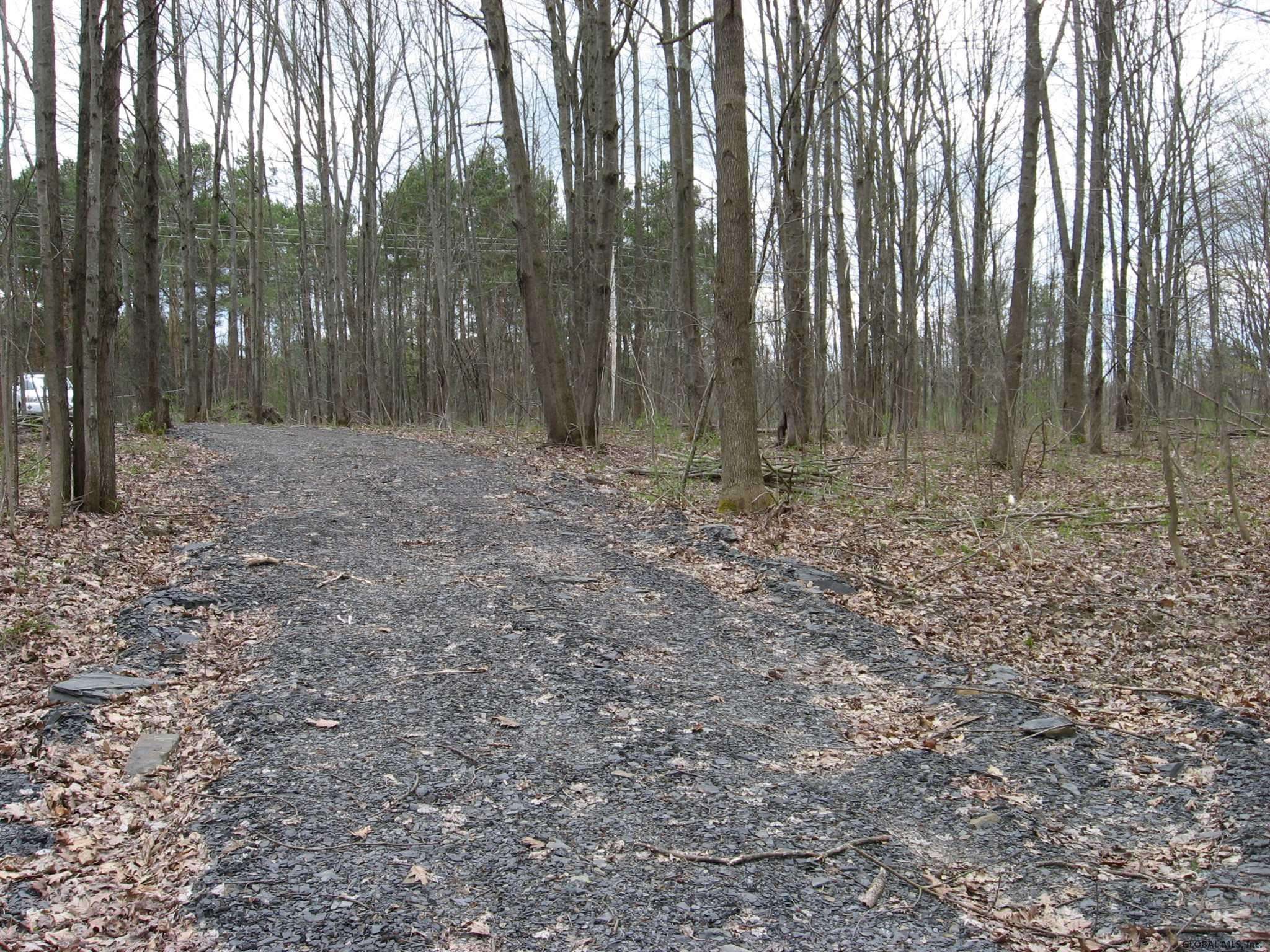 Duanesburg, NY 12053,12628 DUANESBURG Road