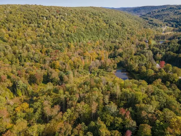 Jefferson, NY 12093,132 PALMER Road