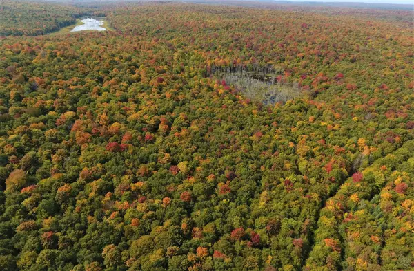 Off of COUNTY ROUTE 15, Brandon, NY 12966