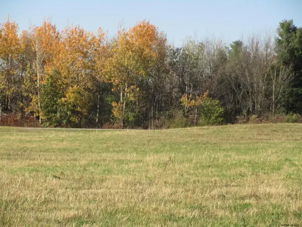 0 SCHOHARIE Turnpike #Lot #2, Duanesburg, NY 12053