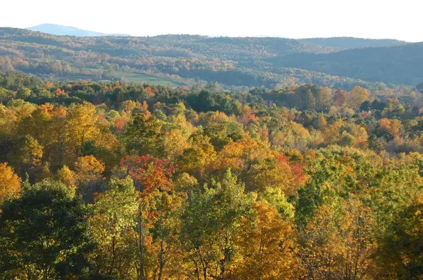 Hebron, NY 12832,179 HIGGINS Road