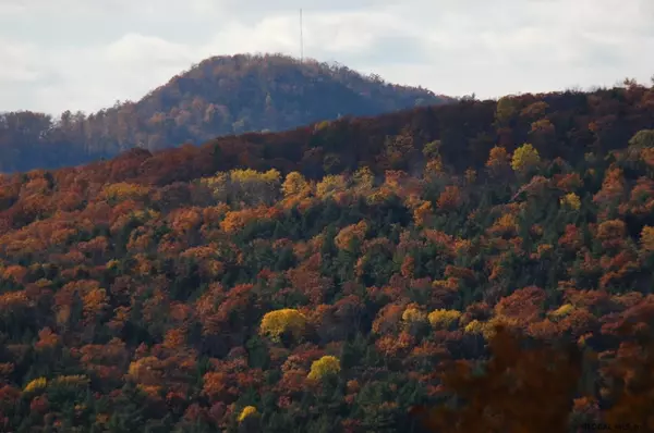 Hebron, NY 12832,179 HIGGINS Road