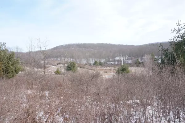 0 STATE ROUTE 22, Hebron, NY 12865