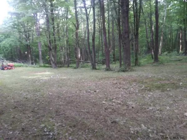 Chatham, NY 12136,0 ALBANY Turnpike