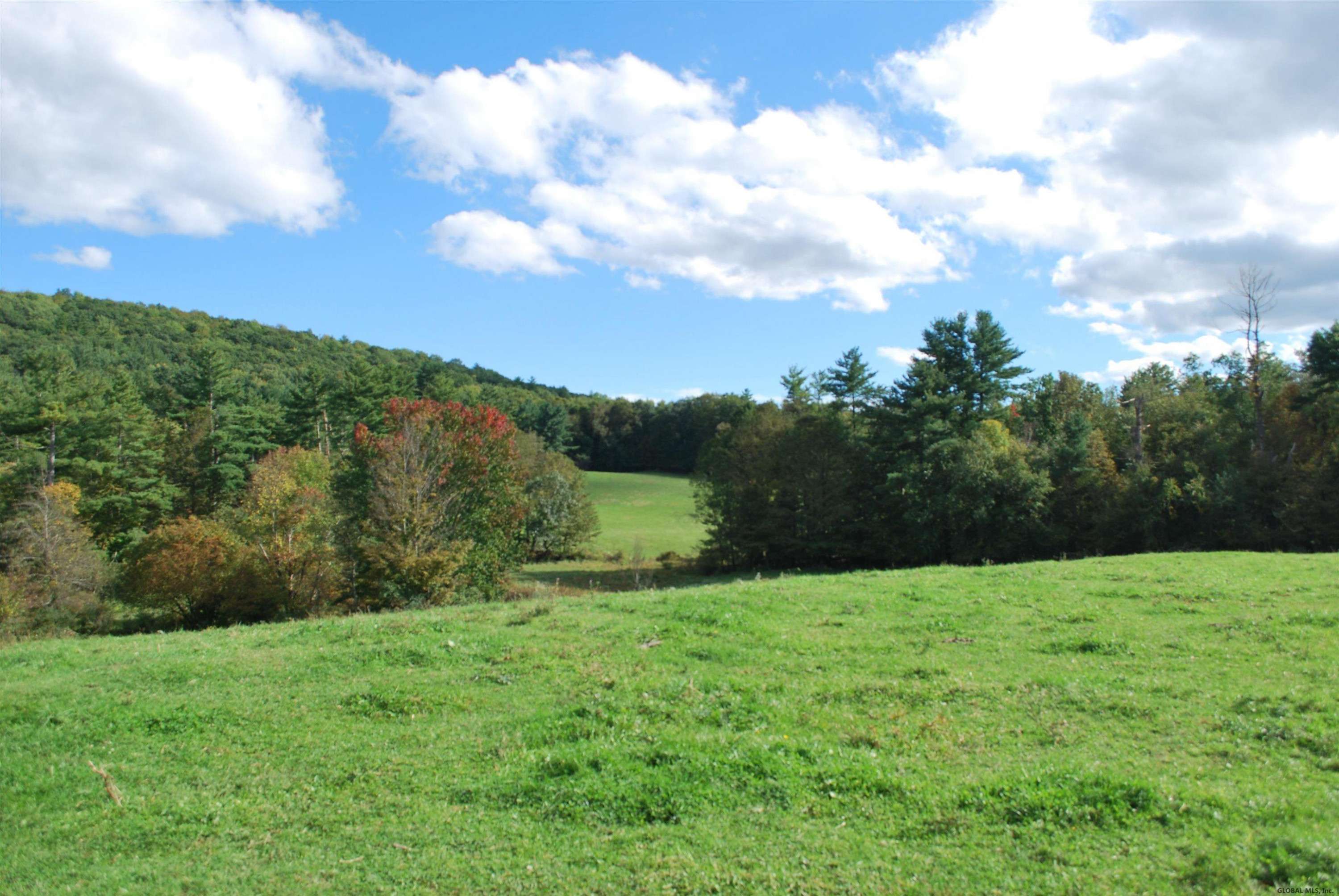 0 STATE ROUTE 313, Cambridge, NY 12816