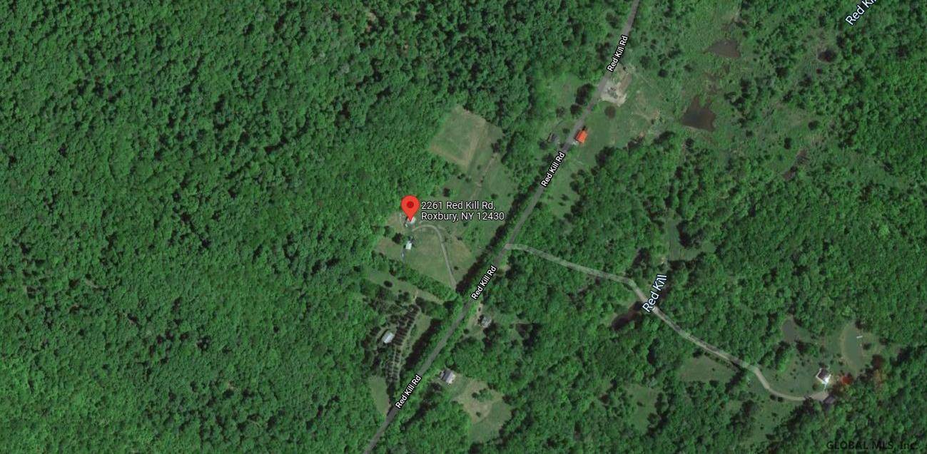 2261 RED KILL Road, Roxbury, NY 12480