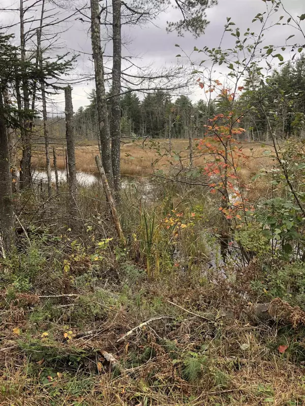 Warrensburg, NY 12885,1558 VIELE POND Road