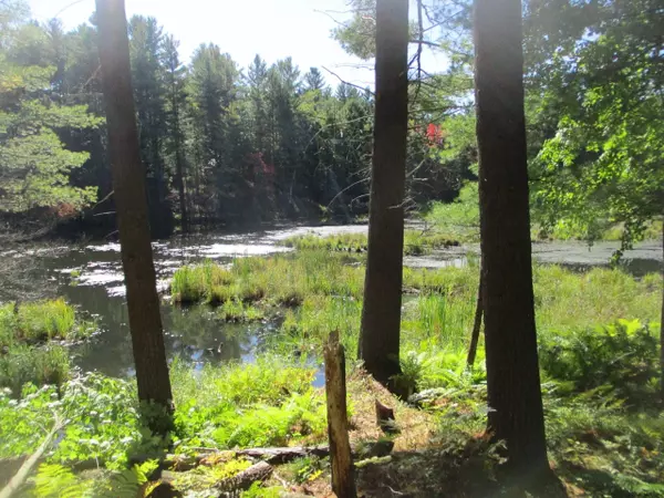 0 THOMASVILLE Road #Thomasville Road, Ausable, NY 12924
