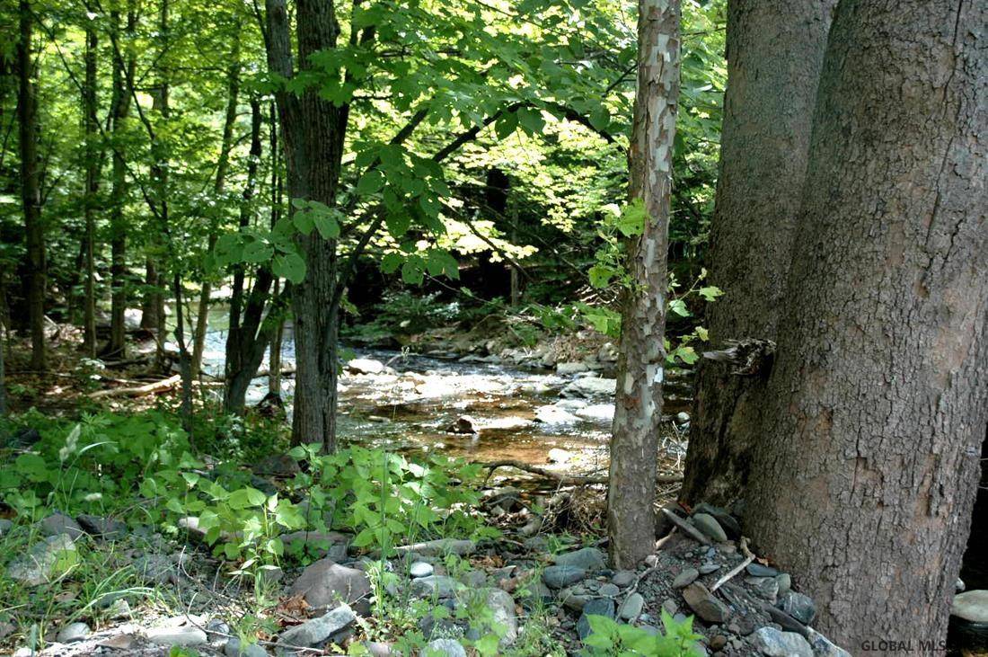 Cairo, NY 12473,1240 HEARTS CONTENT Road