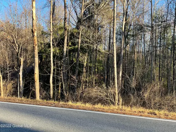 Lake George, NY 12845,110 Middle Road #Lot 2