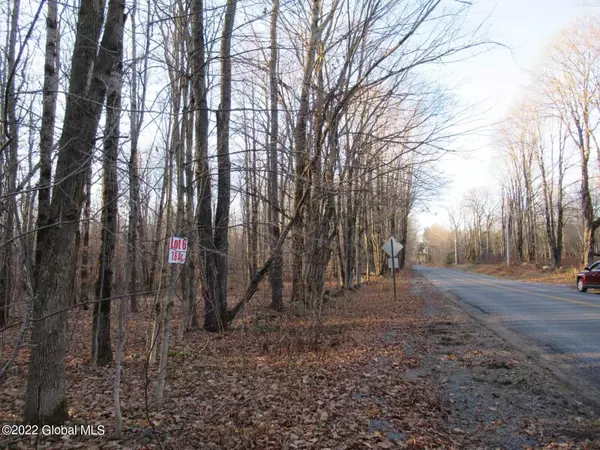 lot 6 Dairy Hill Road, Salisbury, NY 13454