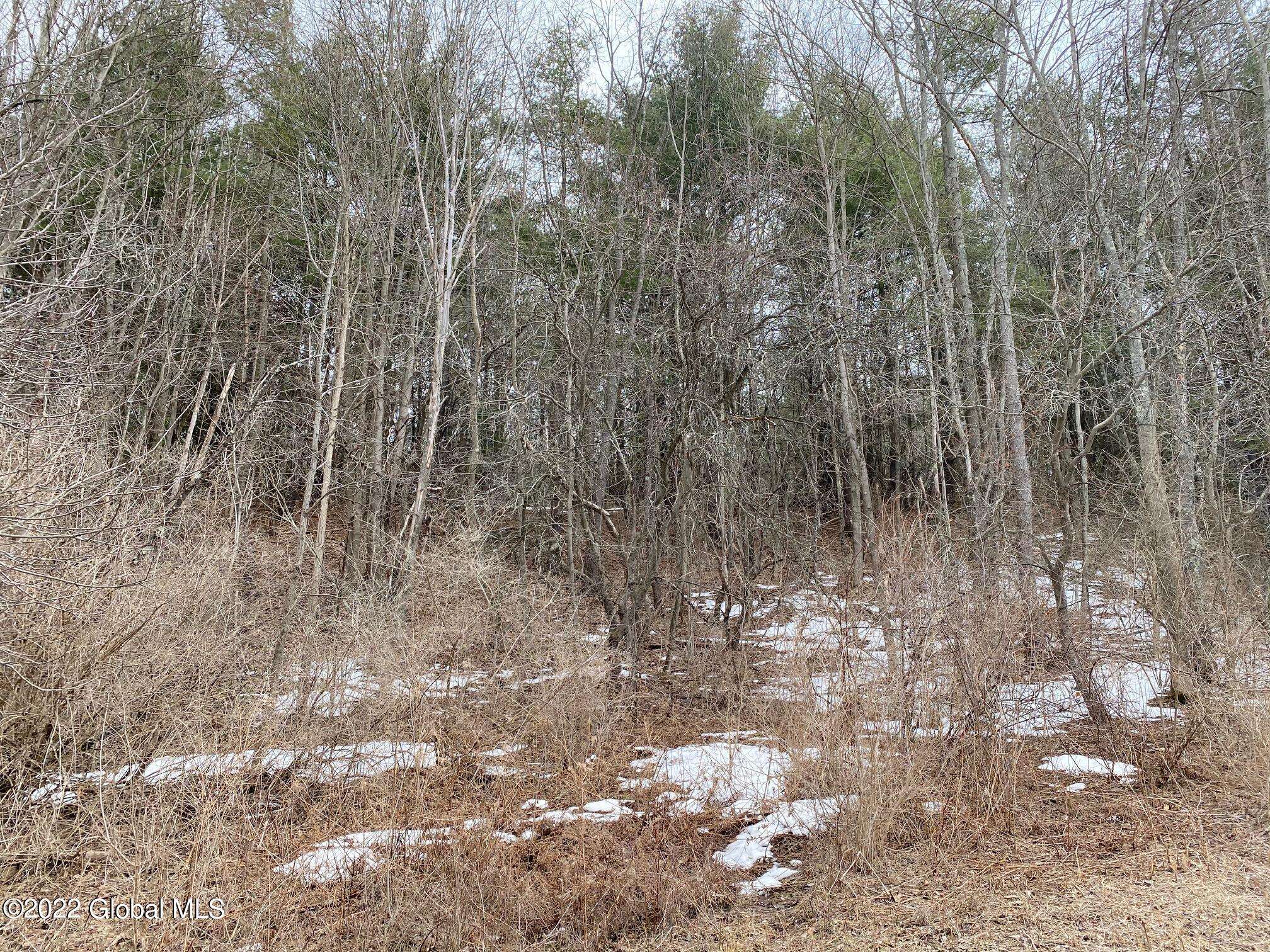 Cambridge, NY 12816,264 Conley Road