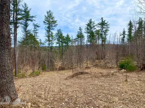 L39 Hinds Road, Providence, NY 12074