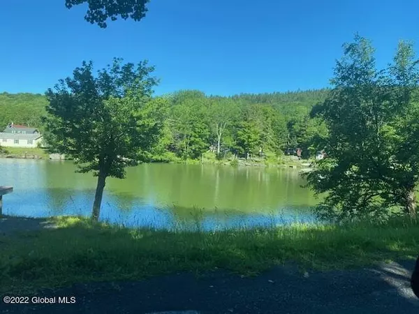 Summit, NY 12175,350 Bear Gulch Road