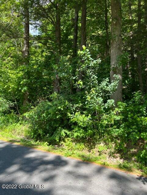0 New Salem S Road, Voorheesville, NY 12186