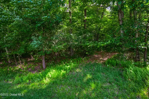 0 McCulley Hts, Davenport, NY 13750