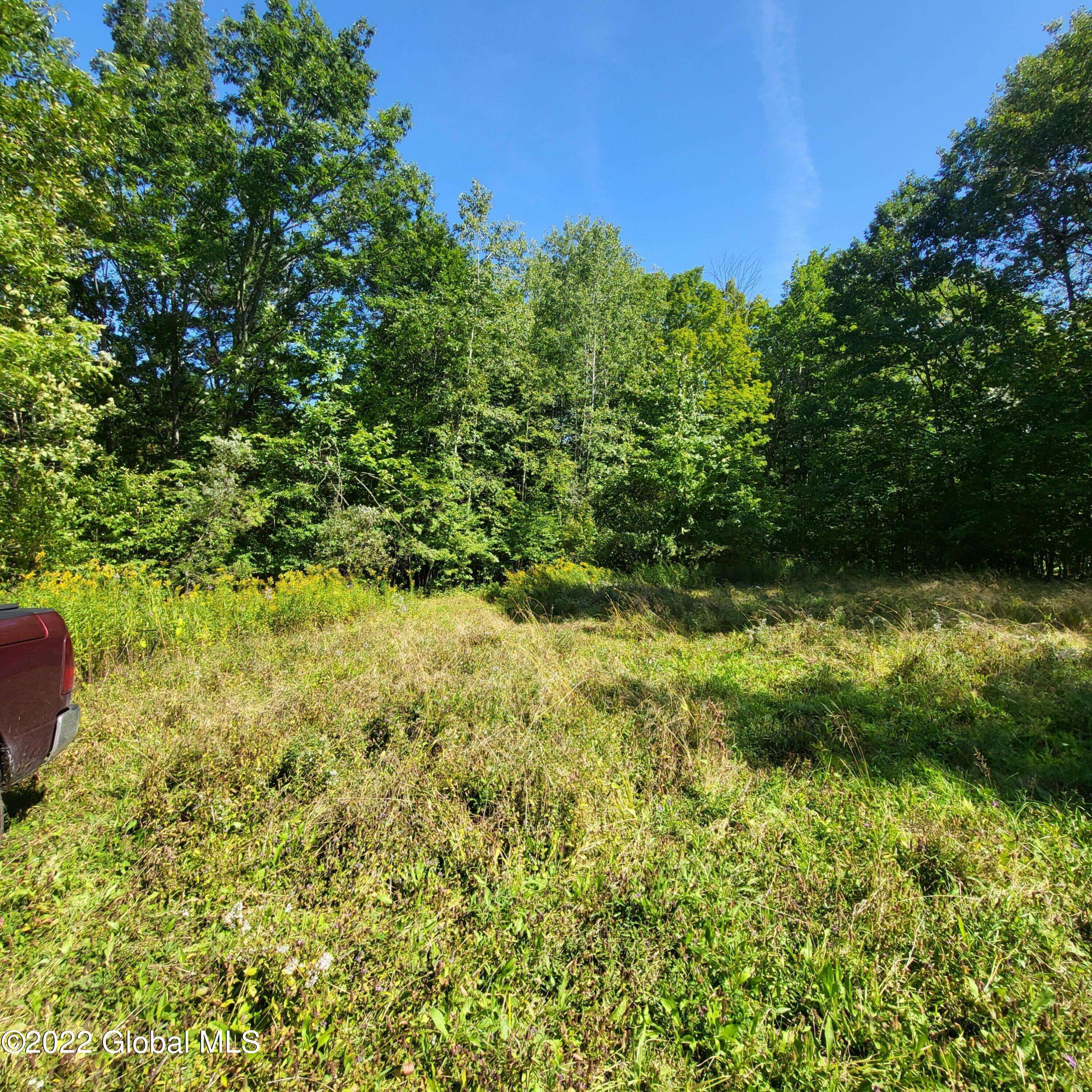 Cobleskill, NY 12043,199 Hunters Lane