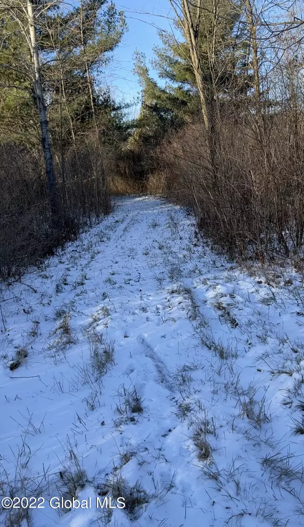 Lisbon, NY 13658,L3 Marshall Road