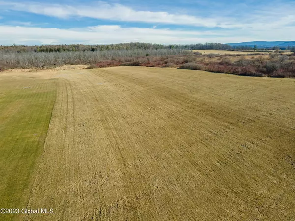 L25.1 Crommie Road, Carlisle, NY 12043