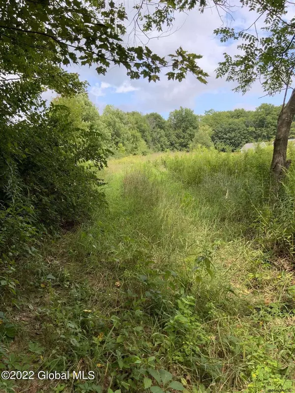 L12.8 Mountain Side Meadow Way, Salem, NY 12865