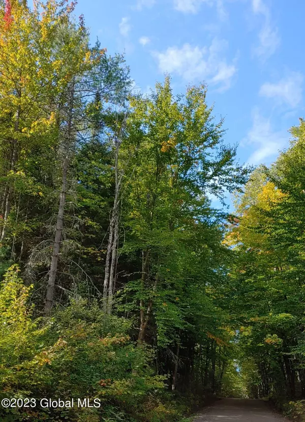 Johnsburg, NY 12856,L26.4 Holland Road