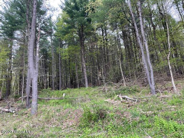Cambridge, NY 12816,154 County Rte 60